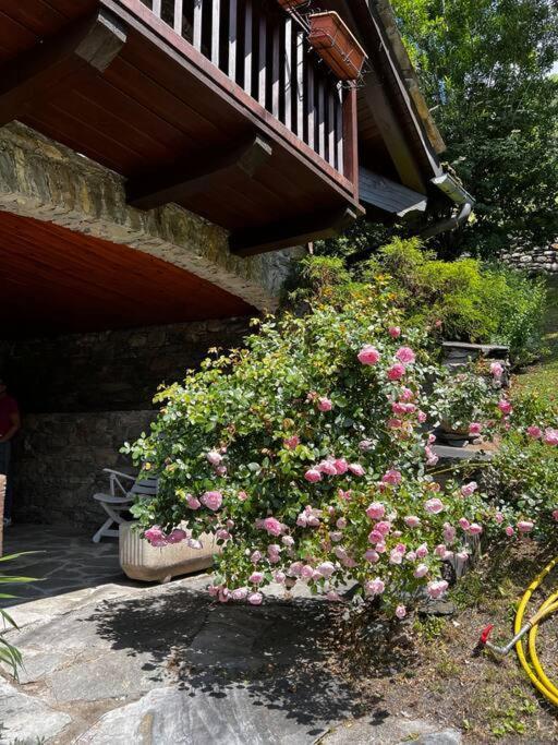 Chalet Cheverel Remondey Extérieur photo